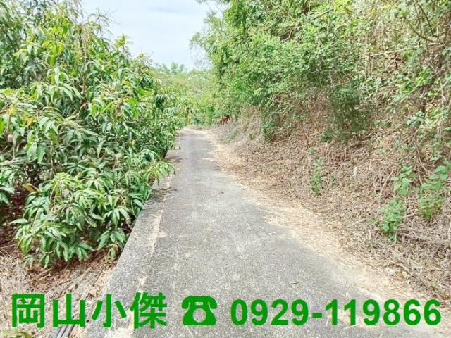 田寮農地-1
