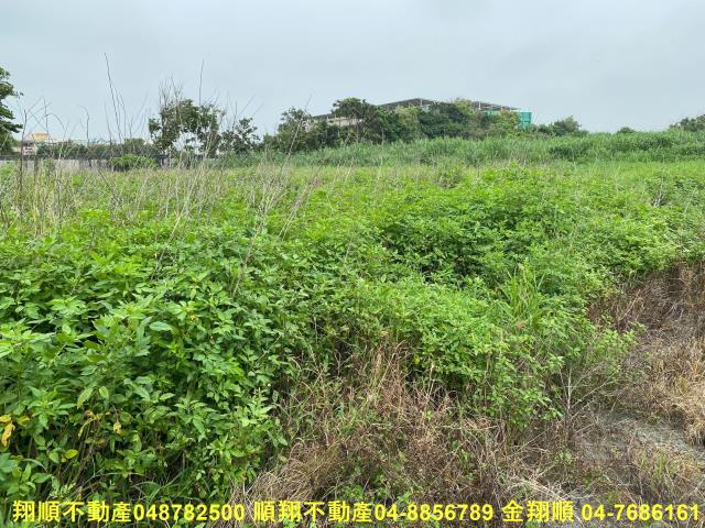 彰化建地-15