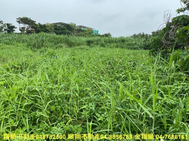彰化建地-8
