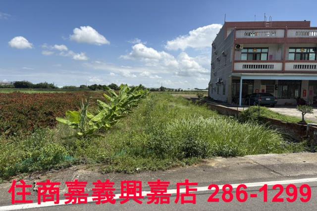 嘉義農地-2