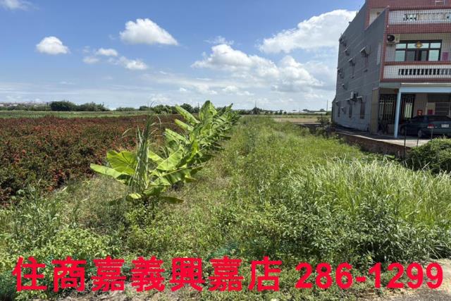 嘉義農地-3
