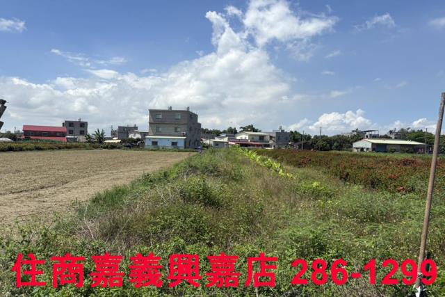 嘉義農地-4