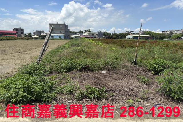 嘉義農地-5