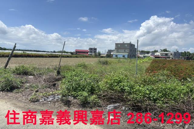 嘉義農地-6