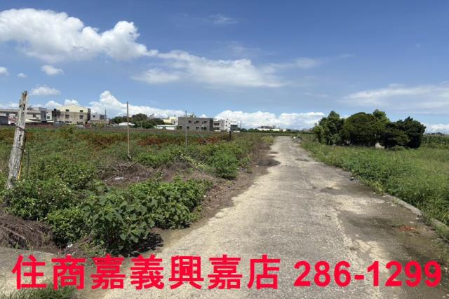 嘉義農地-7