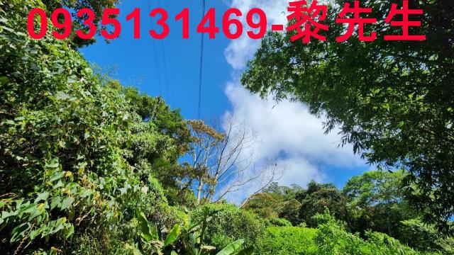 新竹芎林林地-7