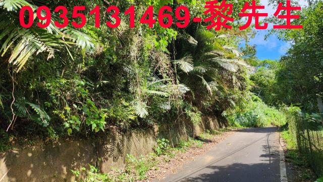 新竹芎林林地-9
