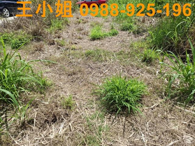 中壢農地-10