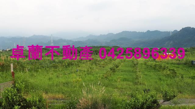 苗栗市農地-2