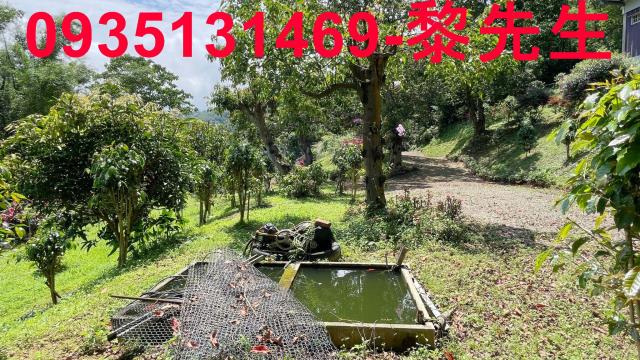 南庄農地-9