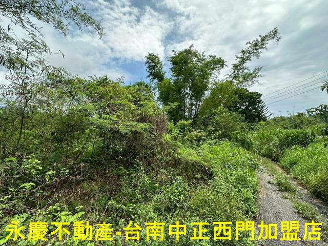 高雄農地-12