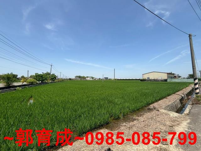 大林農地-2