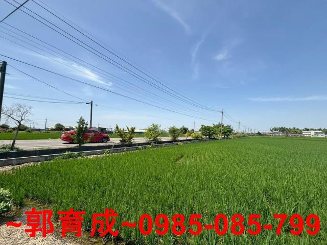 大林農地-3