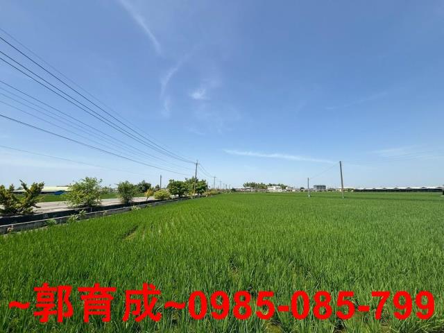 大林農地-4