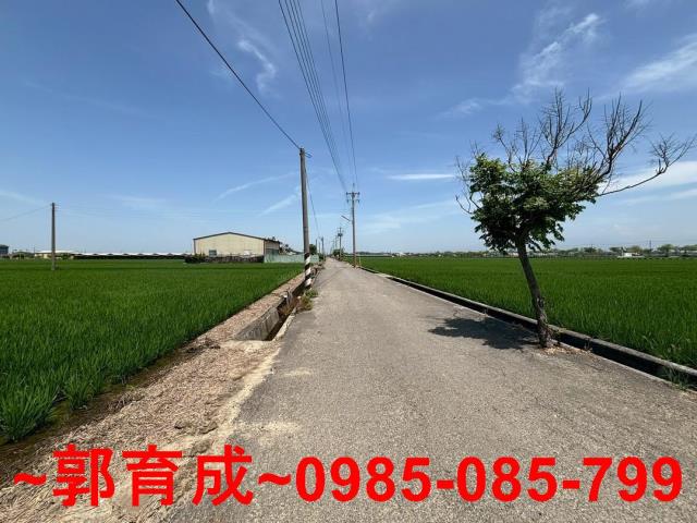 大林農地-7