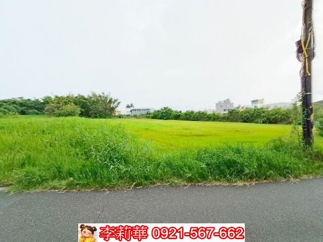歸仁農地-6