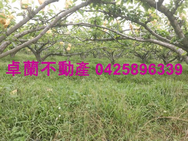 苗栗農地-11