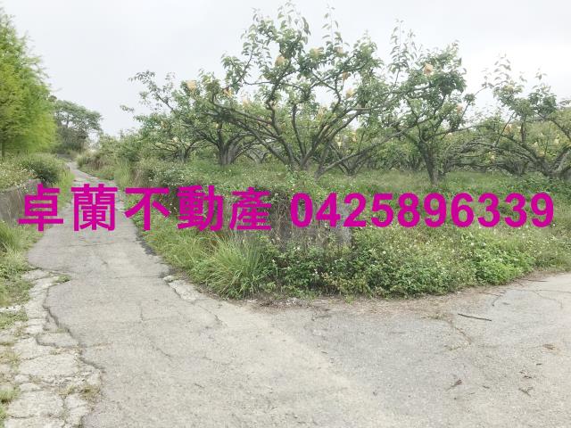苗栗農地-12
