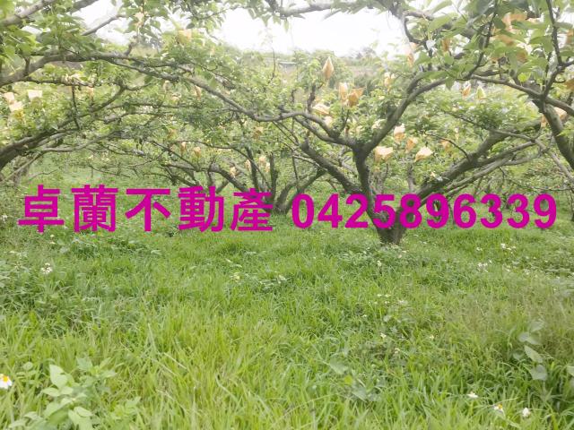 苗栗農地-1