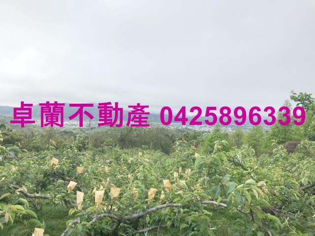 苗栗農地-2