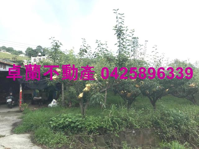 苗栗農地-5