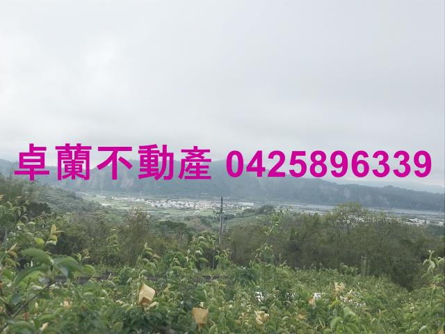 苗栗農地-6