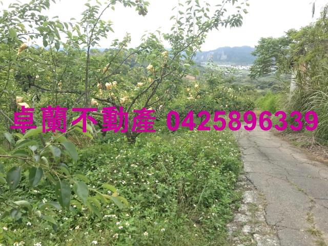 苗栗農地-7