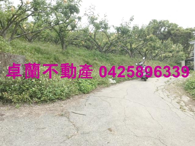 苗栗農地-8