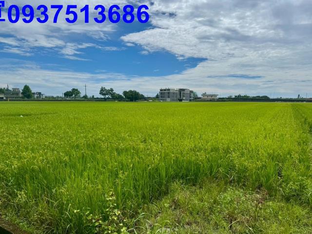 宜蘭農地-8