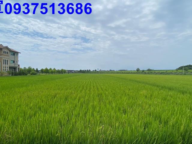 宜蘭壯圍農地-10