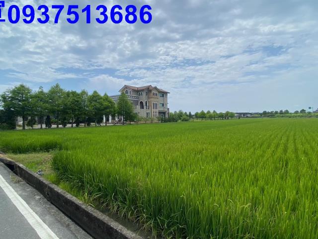 宜蘭壯圍農地-2