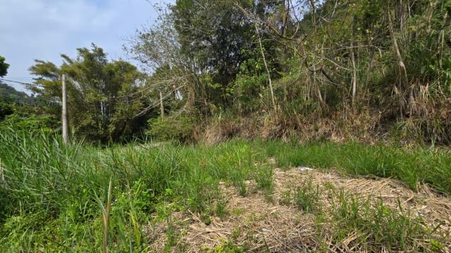 新竹北埔農地-5