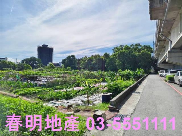 新竹東區農地-11