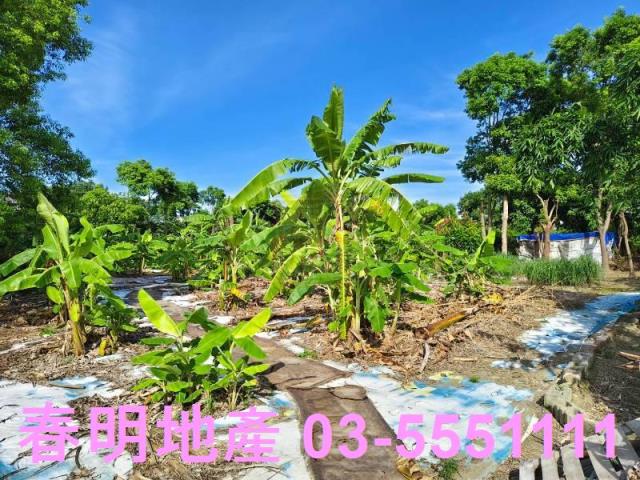 新竹東區農地-3