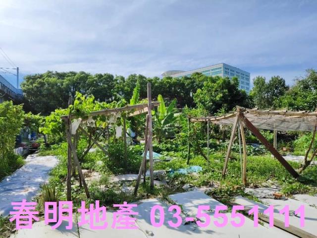 新竹東區農地-4