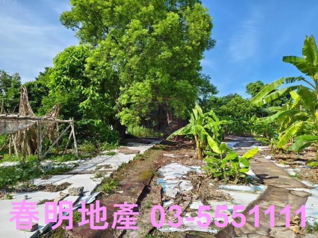 新竹東區農地-5
