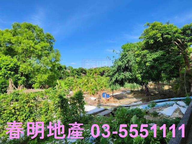 新竹東區農地-6