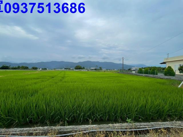 三星農地-15