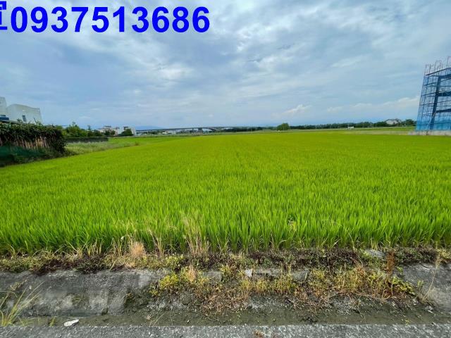 冬山農地-15