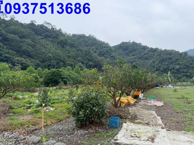 員山農地-11