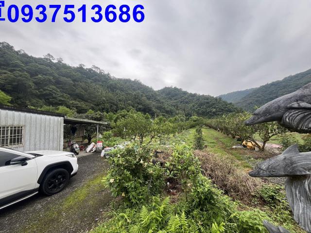 員山農地-12
