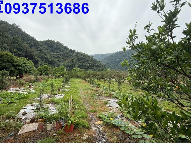 員山農地-13