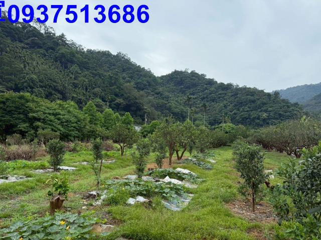 員山農地-2