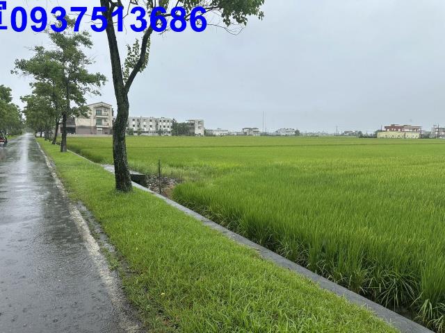 壯圍農地-11