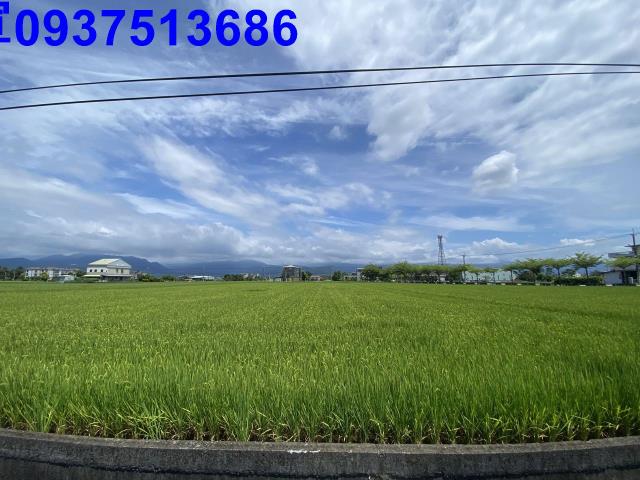 員山農地-15
