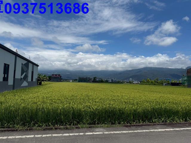 礁溪農地-9