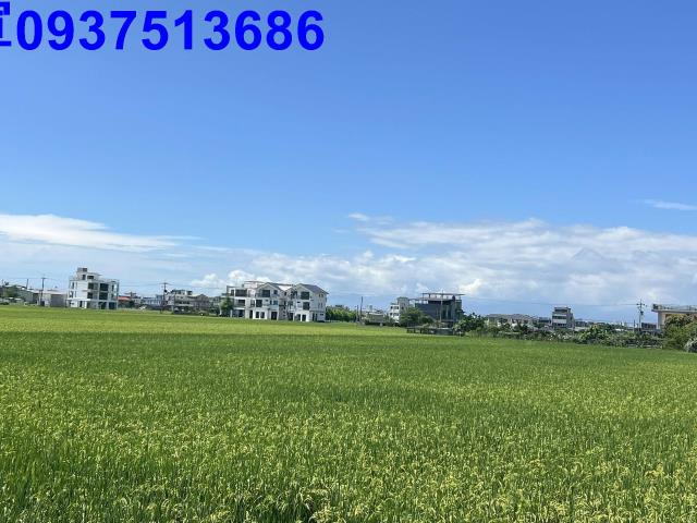 礁溪農地-7