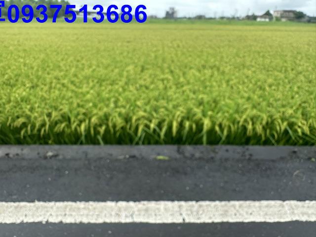 礁溪農地-2