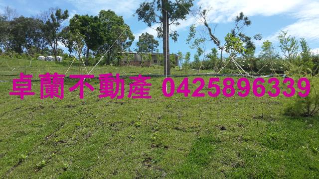 苗栗卓蘭農地-6