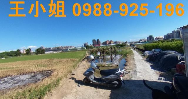 桃園區農地-4